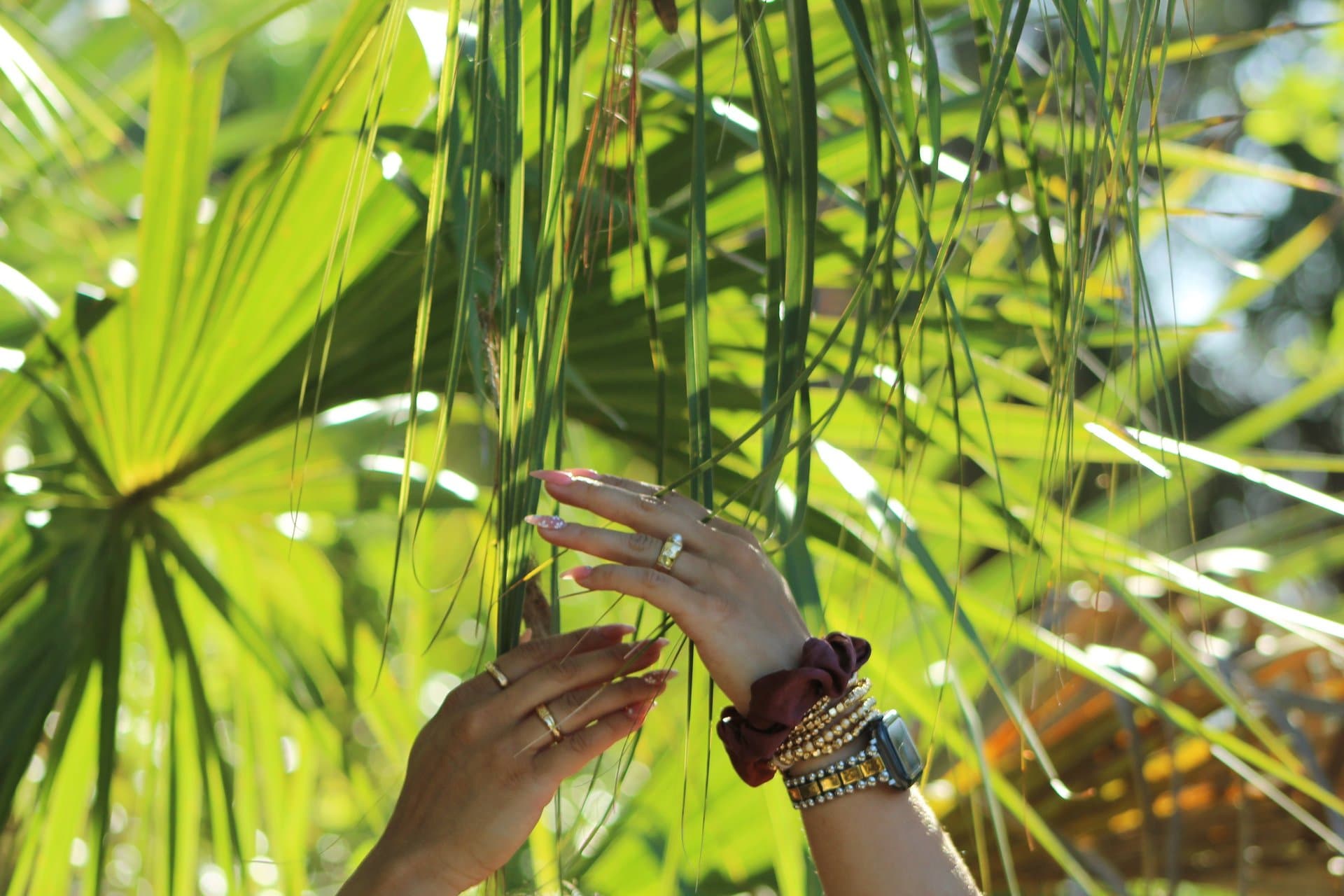 Hands with manicured nails among green palm leaves